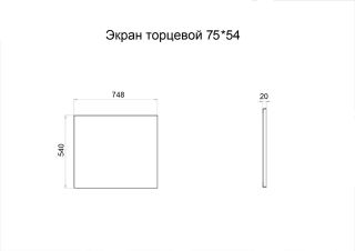 Экран торцевой 75*54